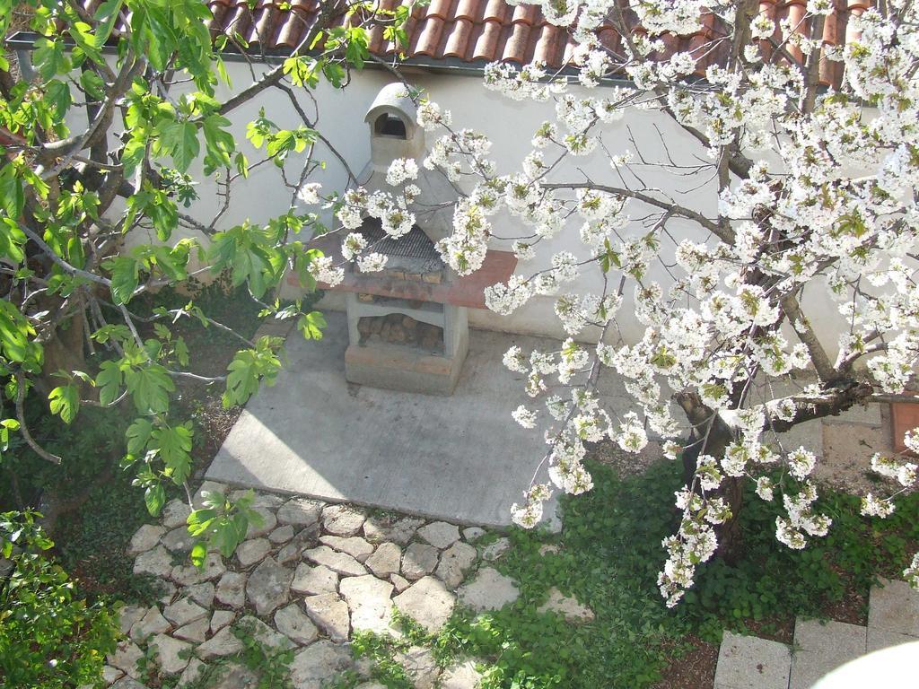 Villa Dalmatia زادار المظهر الخارجي الصورة