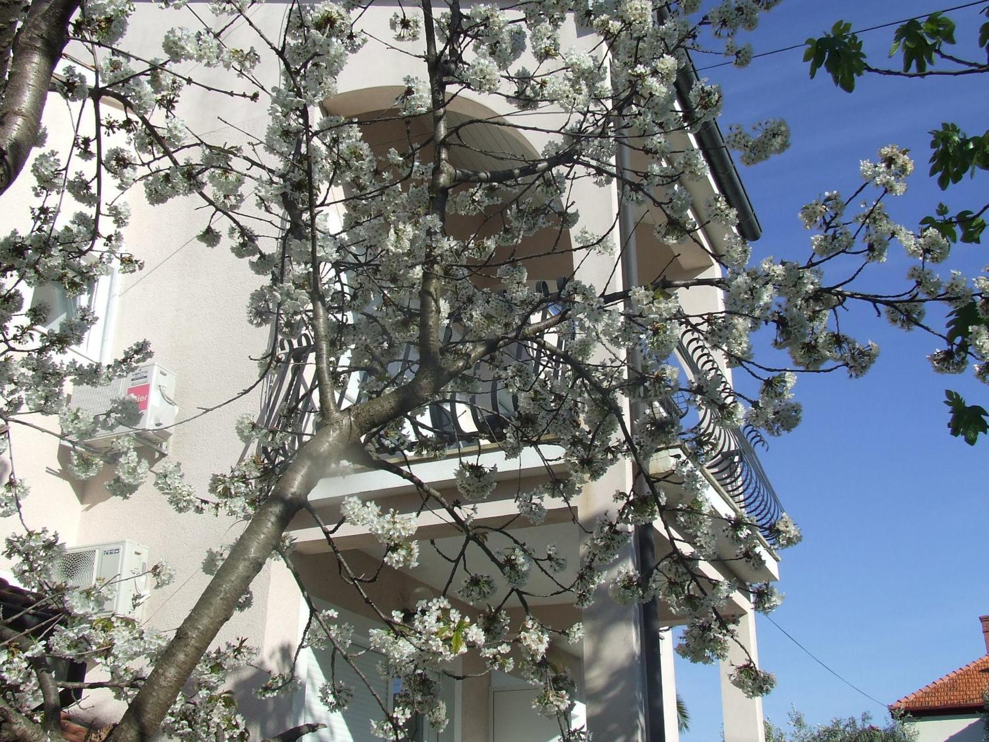 Villa Dalmatia زادار الغرفة الصورة