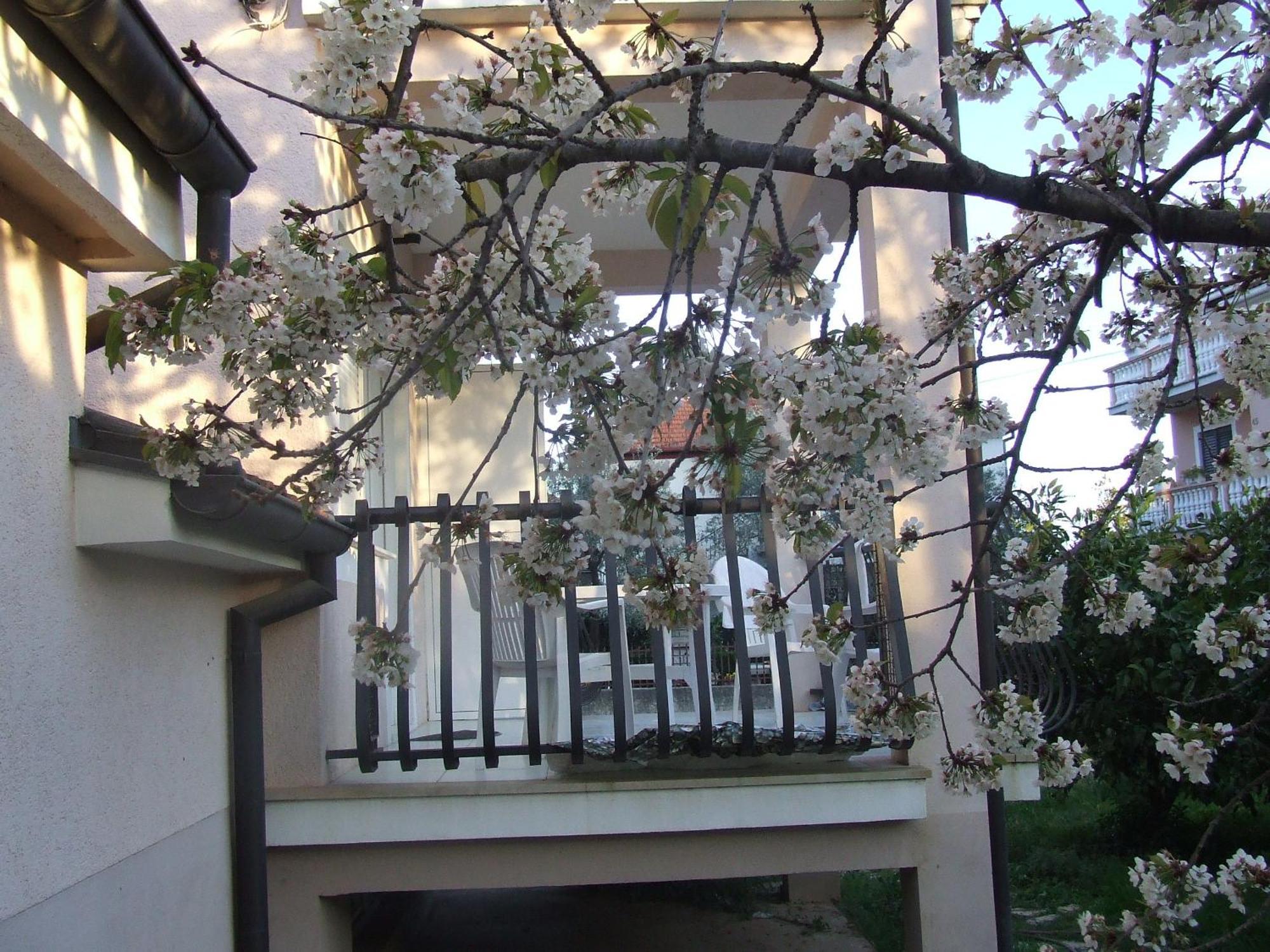 Villa Dalmatia زادار الغرفة الصورة
